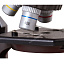 Микроскоп Bresser Junior 40x-640x в работе