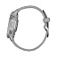 Часы с gps  Garmin Venu 2 Plus серые с серебристым безелем и силиконовым ремешком