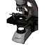 Бинокулярный микроскоп Levenhuk 500B в работе