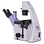 MAGUS Bio VD300 LCD - биологический цифровой микроскоп